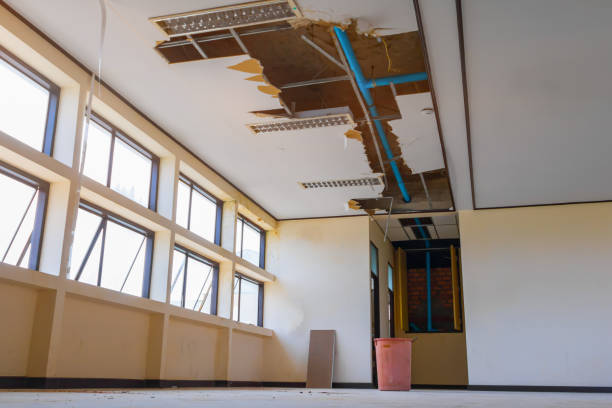 Best Residential water damage restoration  in Winchester, TN