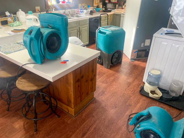 Best Water damage contractors near me  in Winchester, TN