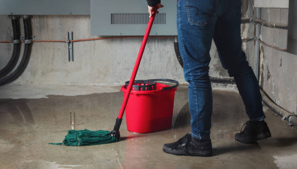 Best Local water damage restoration  in Winchester, TN