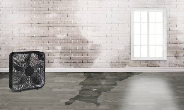 Best Commercial water damage restoration  in Winchester, TN