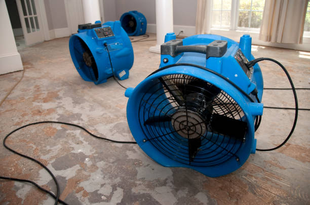 Best Fire Damage Restoration  in Winchester, TN