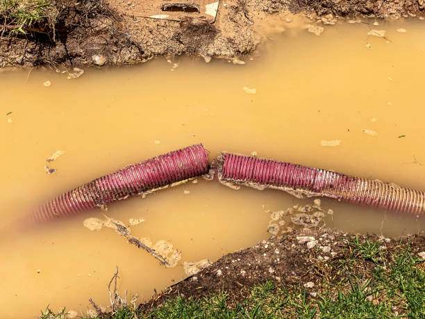 Best Residential water damage restoration  in Winchester, TN