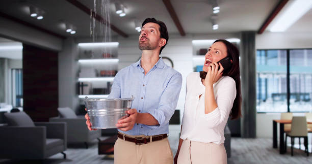 Best Ceiling water damage repair  in Winchester, TN