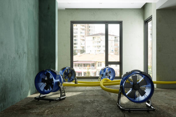 Best Water damage cleanup near me  in Winchester, TN