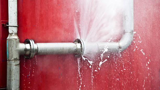 Best Sewage cleanup and water damage restoration  in Winchester, TN