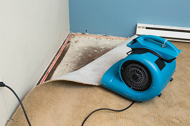 Best Professional water damage repair  in Winchester, TN